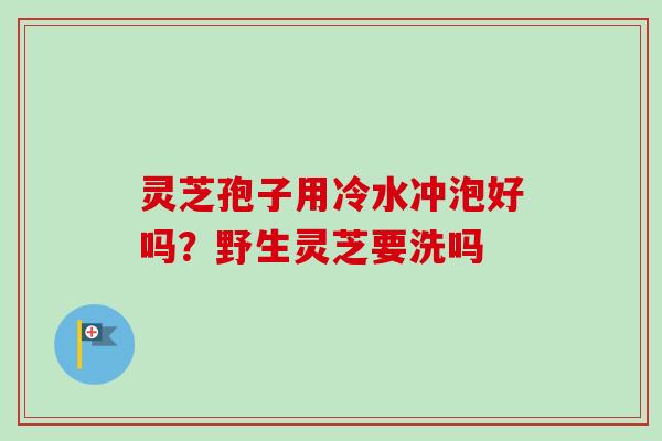灵芝孢子用冷水冲泡好吗?野生灵芝要洗吗-第1张图片-卓越灵芝孢子粉 灵芝孢子用冷水冲泡好吗?野生灵芝要洗吗-第1张图片-卓越灵芝孢子粉