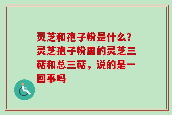 灵芝和孢子粉是什么?灵芝孢子粉里的灵芝三萜和总三萜,说的是一回事吗-第1张图片-卓越灵芝孢子粉 灵芝和孢子粉是什么?灵芝孢子粉里的灵芝三萜和总三萜,说的是一回事吗-第1张图片-卓越灵芝孢子粉