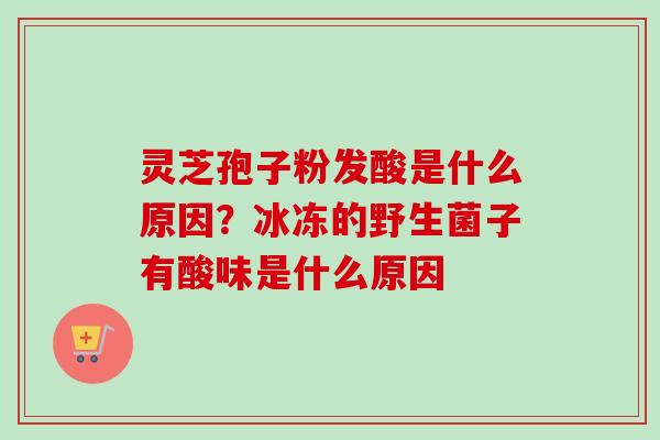 灵芝孢子粉发酸是什么原因?冰冻的野生菌子有酸味是什么原因-第1张图片-卓越灵芝孢子粉 灵芝孢子粉发酸是什么原因?冰冻的野生菌子有酸味是什么原因-第1张图片-卓越灵芝孢子粉