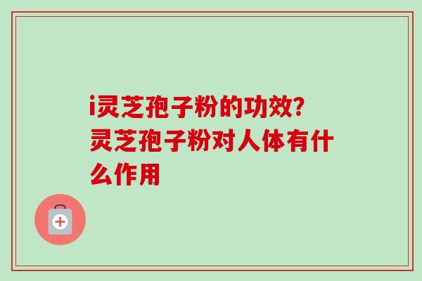 i灵芝孢子粉的功效？灵芝孢子粉对人体有什么作用-第1张图片-卓越灵芝孢子粉
