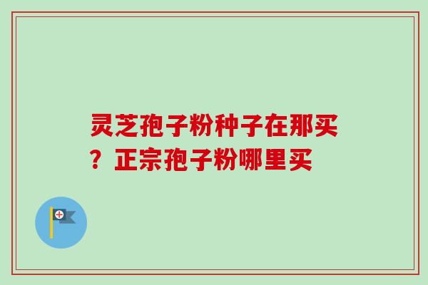 灵芝孢子粉种子在那买?正宗孢子粉哪里买-第1张图片-卓越灵芝孢子粉 灵芝孢子粉种子在那买?正宗孢子粉哪里买-第1张图片-卓越灵芝孢子粉