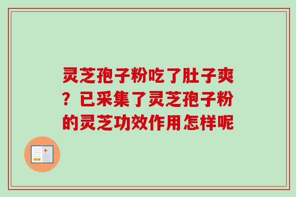 灵芝孢子粉吃了肚子爽?已采集了灵芝孢子粉的灵芝功效作用怎样呢-第1张图片-卓越灵芝孢子粉 灵芝孢子粉吃了肚子爽?已采集了灵芝孢子粉的灵芝功效作用怎样呢-第1张图片-卓越灵芝孢子粉