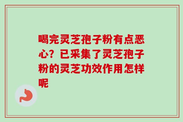 喝完灵芝孢子粉有点恶心？已采集了灵芝孢子粉的灵芝功效作用怎样呢-第1张图片-卓越灵芝孢子粉