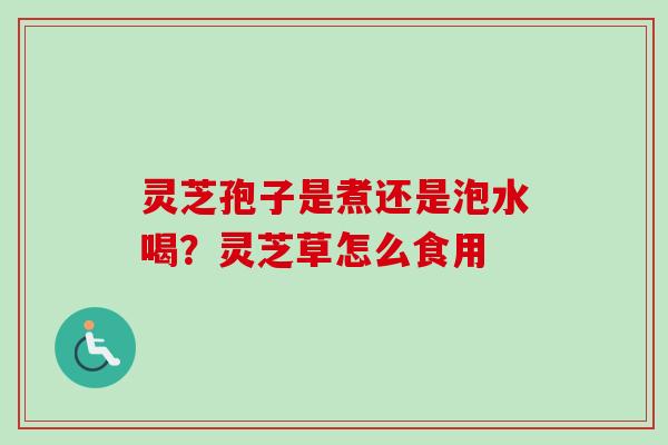 灵芝孢子是煮还是泡水喝?灵芝草怎么食用-第1张图片-卓越灵芝孢子粉 灵芝孢子是煮还是泡水喝?灵芝草怎么食用-第1张图片-卓越灵芝孢子粉