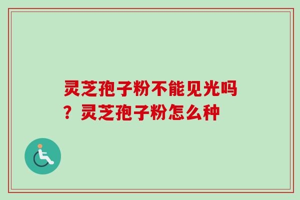 灵芝孢子粉不能见光吗?灵芝孢子粉怎么种-第1张图片-卓越灵芝孢子粉 灵芝孢子粉不能见光吗?灵芝孢子粉怎么种-第1张图片-卓越灵芝孢子粉