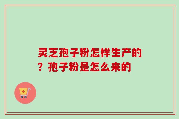 灵芝孢子粉怎样生产的？孢子粉是怎么来的-第1张图片-卓越灵芝孢子粉
