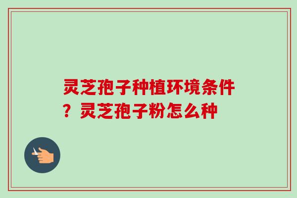 灵芝孢子种植环境条件？灵芝孢子粉怎么种-第1张图片-卓越灵芝孢子粉