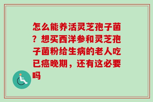 怎么能养活灵芝孢子菌?想买西洋参和灵芝孢子菌粉给生病的老人吃已癌晚期,还有这必要吗-第1张图片-卓越灵芝孢子粉 怎么能养活灵芝孢子菌?想买西洋参和灵芝孢子菌粉给生病的老人吃已癌晚期,还有这必要吗-第1张图片-卓越灵芝孢子粉
