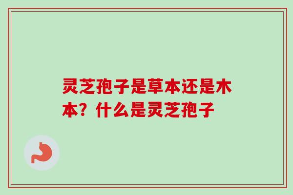 灵芝孢子是草本还是木本?什么是灵芝孢子-第1张图片-卓越灵芝孢子粉 灵芝孢子是草本还是木本?什么是灵芝孢子-第1张图片-卓越灵芝孢子粉