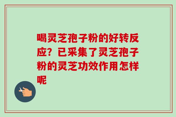 喝灵芝孢子粉的好转反应?已采集了灵芝孢子粉的灵芝功效作用怎样呢-第1张图片-卓越灵芝孢子粉 喝灵芝孢子粉的好转反应?已采集了灵芝孢子粉的灵芝功效作用怎样呢-第1张图片-卓越灵芝孢子粉