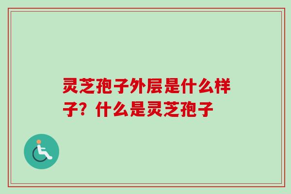灵芝孢子外层是什么样子？什么是灵芝孢子-第1张图片-卓越灵芝孢子粉
