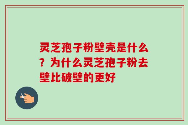 灵芝孢子粉壁壳是什么?为什么灵芝孢子粉去壁比破壁的更好-第1张图片-卓越灵芝孢子粉 灵芝孢子粉壁壳是什么?为什么灵芝孢子粉去壁比破壁的更好-第1张图片-卓越灵芝孢子粉