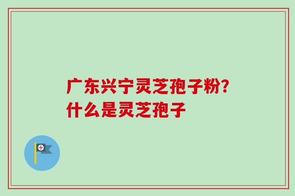 广东兴宁灵芝孢子粉?什么是灵芝孢子-第1张图片-卓越灵芝孢子粉 广东兴宁灵芝孢子粉?什么是灵芝孢子-第1张图片-卓越灵芝孢子粉