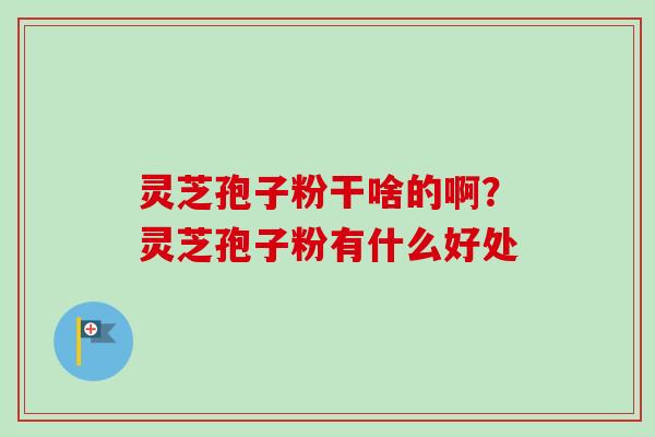 灵芝孢子粉干啥的啊?灵芝孢子粉有什么好处-第1张图片-卓越灵芝孢子粉 灵芝孢子粉干啥的啊?灵芝孢子粉有什么好处-第1张图片-卓越灵芝孢子粉
