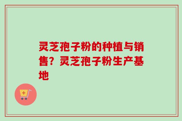 灵芝孢子粉的种植与销售？灵芝孢子粉生产基地-第1张图片-卓越灵芝孢子粉