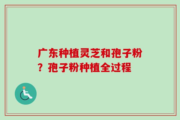 广东种植灵芝和孢子粉?孢子粉种植全过程-第1张图片-卓越灵芝孢子粉 广东种植灵芝和孢子粉?孢子粉种植全过程-第1张图片-卓越灵芝孢子粉