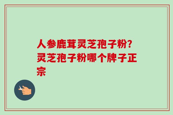 人参鹿茸灵芝孢子粉？灵芝孢子粉哪个牌子正宗-第1张图片-卓越灵芝孢子粉