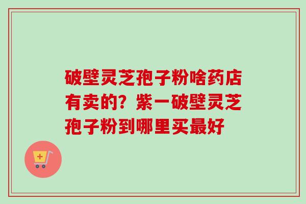 破壁灵芝孢子粉啥药店有卖的？紫一破壁灵芝孢子粉到哪里买最好-第1张图片-卓越灵芝孢子粉
