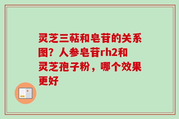 灵芝三萜和皂苷的关系图?人参皂苷rh2和灵芝孢子粉,哪个效果更好-第1张图片-卓越灵芝孢子粉 灵芝三萜和皂苷的关系图?人参皂苷rh2和灵芝孢子粉,哪个效果更好-第1张图片-卓越灵芝孢子粉