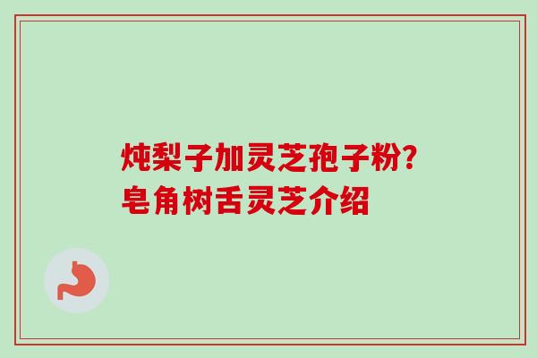 炖梨子加灵芝孢子粉?皂角树舌灵芝介绍-第1张图片-卓越灵芝孢子粉 炖梨子加灵芝孢子粉?皂角树舌灵芝介绍-第1张图片-卓越灵芝孢子粉