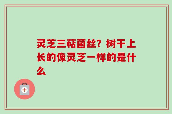 灵芝三萜菌丝？树干上长的像灵芝一样的是什么-第1张图片-卓越灵芝孢子粉