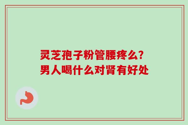 灵芝孢子粉管腰疼么?男人喝什么对肾有好处-第1张图片-卓越灵芝孢子粉 灵芝孢子粉管腰疼么?男人喝什么对肾有好处-第1张图片-卓越灵芝孢子粉