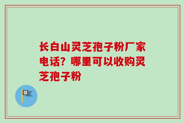 长白山灵芝孢子粉厂家电话？哪里可以收购灵芝孢子粉-第1张图片-卓越灵芝孢子粉