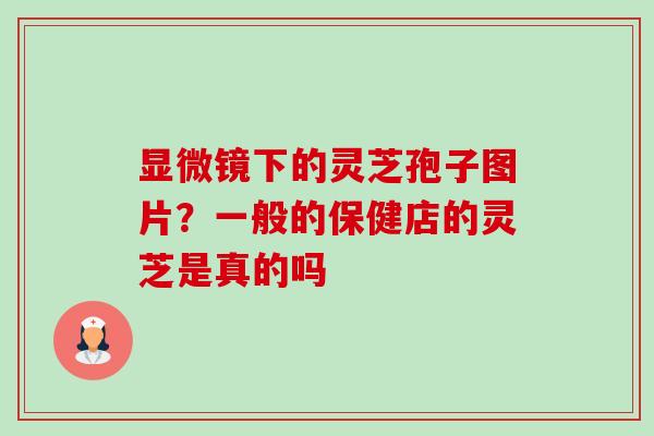 显微镜下的灵芝孢子图片?一般的保健店的灵芝是真的吗-第1张图片-卓越灵芝孢子粉 显微镜下的灵芝孢子图片?一般的保健店的灵芝是真的吗-第1张图片-卓越灵芝孢子粉
