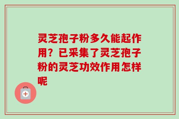灵芝孢子粉多久能起作用?已采集了灵芝孢子粉的灵芝功效作用怎样呢-第1张图片-卓越灵芝孢子粉 灵芝孢子粉多久能起作用?已采集了灵芝孢子粉的灵芝功效作用怎样呢-第1张图片-卓越灵芝孢子粉