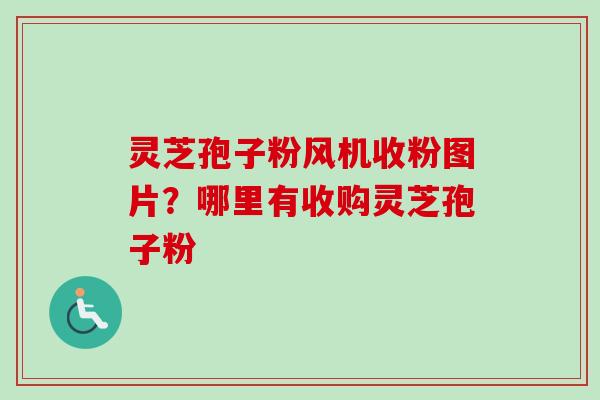 灵芝孢子粉风机收粉图片?哪里有收购灵芝孢子粉-第1张图片-卓越灵芝孢子粉 灵芝孢子粉风机收粉图片?哪里有收购灵芝孢子粉-第1张图片-卓越灵芝孢子粉