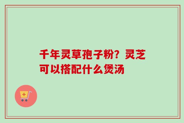 千年灵草孢子粉？灵芝可以搭配什么煲汤-第1张图片-卓越灵芝孢子粉