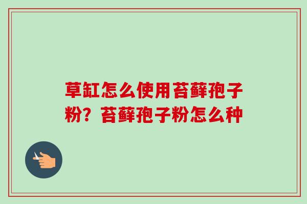 草缸怎么使用苔藓孢子粉？苔藓孢子粉怎么种-第1张图片-卓越灵芝孢子粉