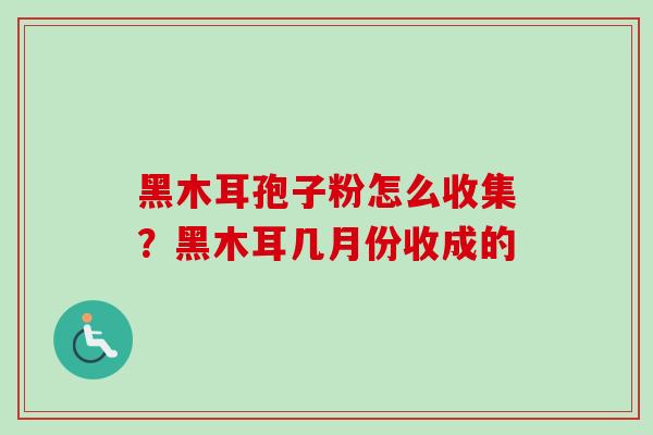 黑木耳孢子粉怎么收集?黑木耳几月份收成的-第1张图片-卓越灵芝孢子粉 黑木耳孢子粉怎么收集?黑木耳几月份收成的-第1张图片-卓越灵芝孢子粉