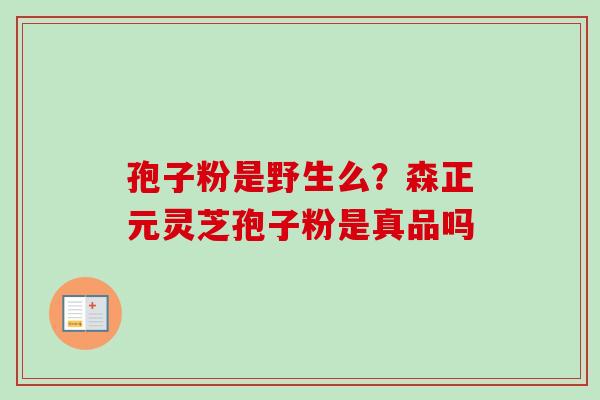 孢子粉是野生么？森正元灵芝孢子粉是真品吗-第1张图片-卓越灵芝孢子粉