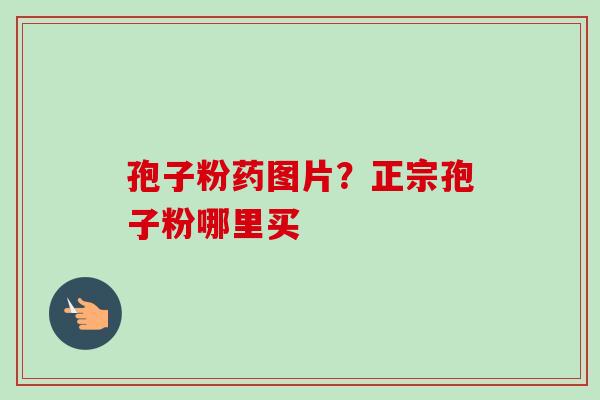 孢子粉药图片?正宗孢子粉哪里买-第1张图片-卓越灵芝孢子粉 孢子粉药图片?正宗孢子粉哪里买-第1张图片-卓越灵芝孢子粉