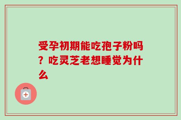 受孕初期能吃孢子粉吗?吃灵芝老想睡觉为什么-第1张图片-卓越灵芝孢子粉 受孕初期能吃孢子粉吗?吃灵芝老想睡觉为什么-第1张图片-卓越灵芝孢子粉