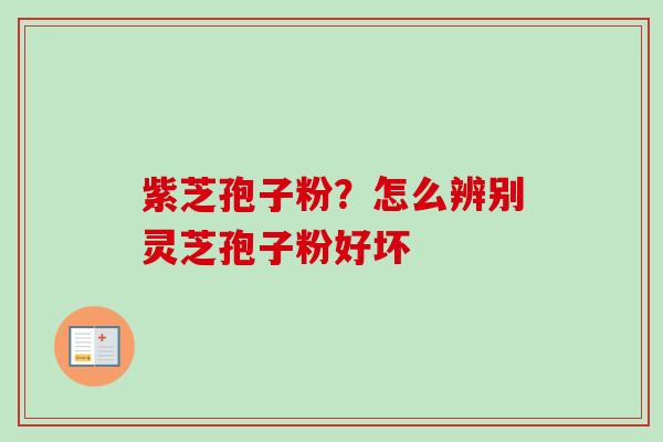 紫芝孢子粉？怎么辨别灵芝孢子粉好坏-第1张图片-卓越灵芝孢子粉