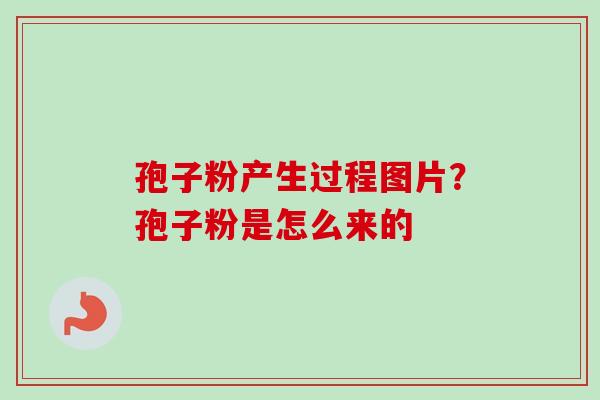 孢子粉产生过程图片？孢子粉是怎么来的-第1张图片-卓越灵芝孢子粉