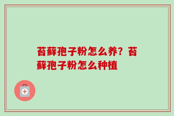 苔藓孢子粉怎么养？苔藓孢子粉怎么种植-第1张图片-卓越灵芝孢子粉