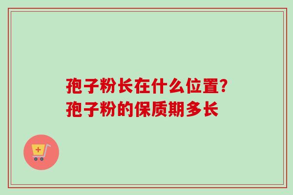 孢子粉长在什么位置?孢子粉的保质期多长-第1张图片-卓越灵芝孢子粉 孢子粉长在什么位置?孢子粉的保质期多长-第1张图片-卓越灵芝孢子粉