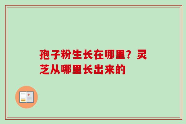 孢子粉生长在哪里?灵芝从哪里长出来的-第1张图片-卓越灵芝孢子粉 孢子粉生长在哪里?灵芝从哪里长出来的-第1张图片-卓越灵芝孢子粉