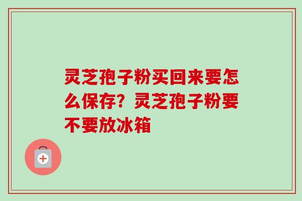 灵芝孢子粉买回来要怎么保存?灵芝孢子粉要不要放冰箱-第1张图片-卓越灵芝孢子粉 灵芝孢子粉买回来要怎么保存?灵芝孢子粉要不要放冰箱-第1张图片-卓越灵芝孢子粉