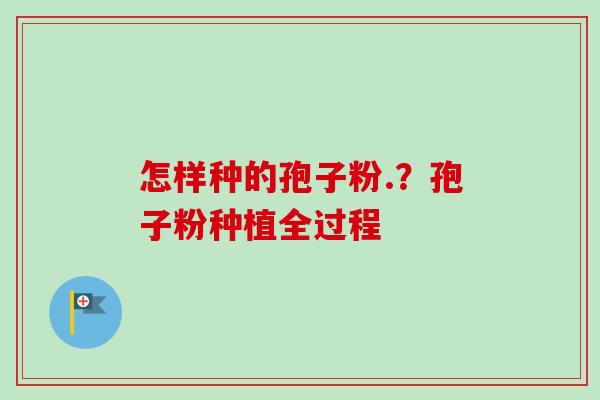 怎样种的孢子粉.?孢子粉种植全过程-第1张图片-卓越灵芝孢子粉 怎样种的孢子粉.?孢子粉种植全过程-第1张图片-卓越灵芝孢子粉