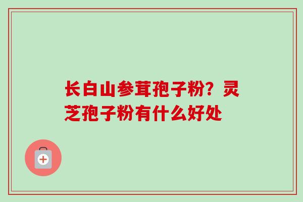 长白山参茸孢子粉?灵芝孢子粉有什么好处-第1张图片-卓越灵芝孢子粉 长白山参茸孢子粉?灵芝孢子粉有什么好处-第1张图片-卓越灵芝孢子粉