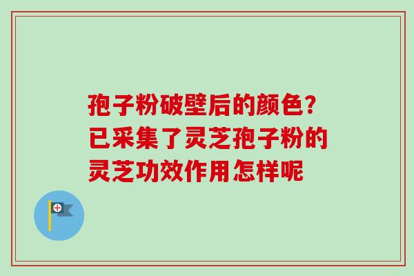 孢子粉破壁后的颜色？已采集了灵芝孢子粉的灵芝功效作用怎样呢-第1张图片-卓越灵芝孢子粉