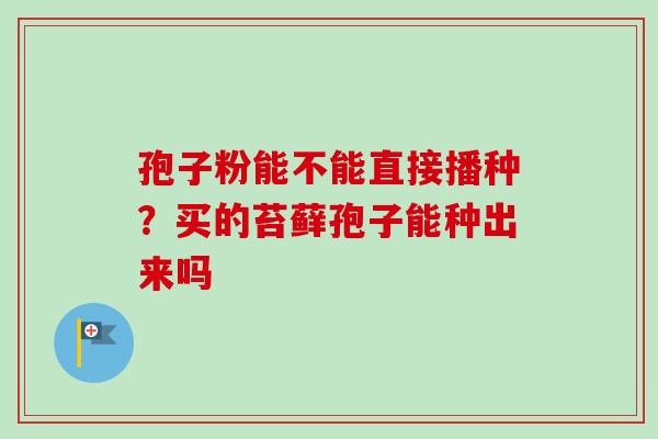 孢子粉能不能直接播种？买的苔藓孢子能种出来吗-第1张图片-卓越灵芝孢子粉