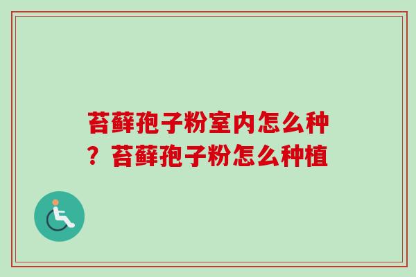苔藓孢子粉室内怎么种？苔藓孢子粉怎么种植-第1张图片-卓越灵芝孢子粉