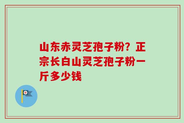 山东赤灵芝孢子粉？正宗长白山灵芝孢子粉一斤多少钱-第1张图片-卓越灵芝孢子粉