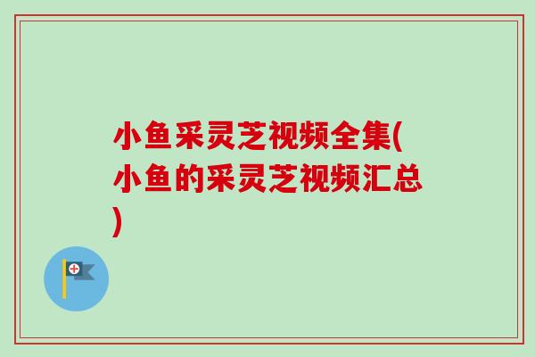 小鱼采灵芝视频全集(小鱼的采灵芝视频汇总)-第1张图片-卓越灵芝孢子粉
