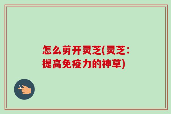 怎么剪开灵芝(灵芝：提高免疫力的神草)-第1张图片-卓越灵芝孢子粉